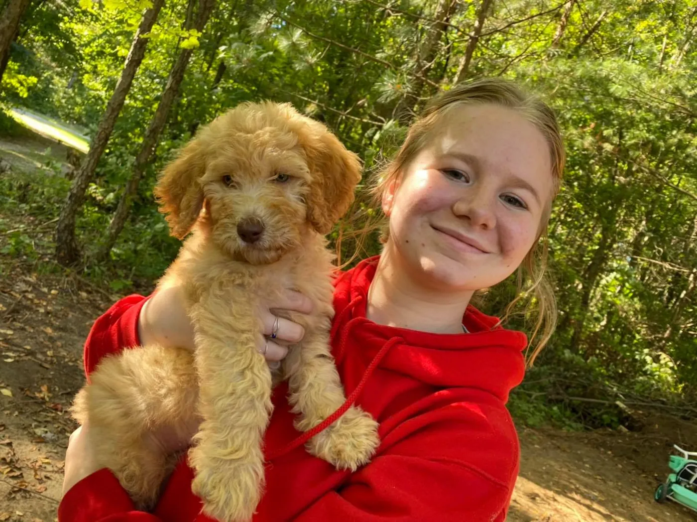 Smiling girl in a red hoodie holding an apricot Goldendoodle puppy in the woods