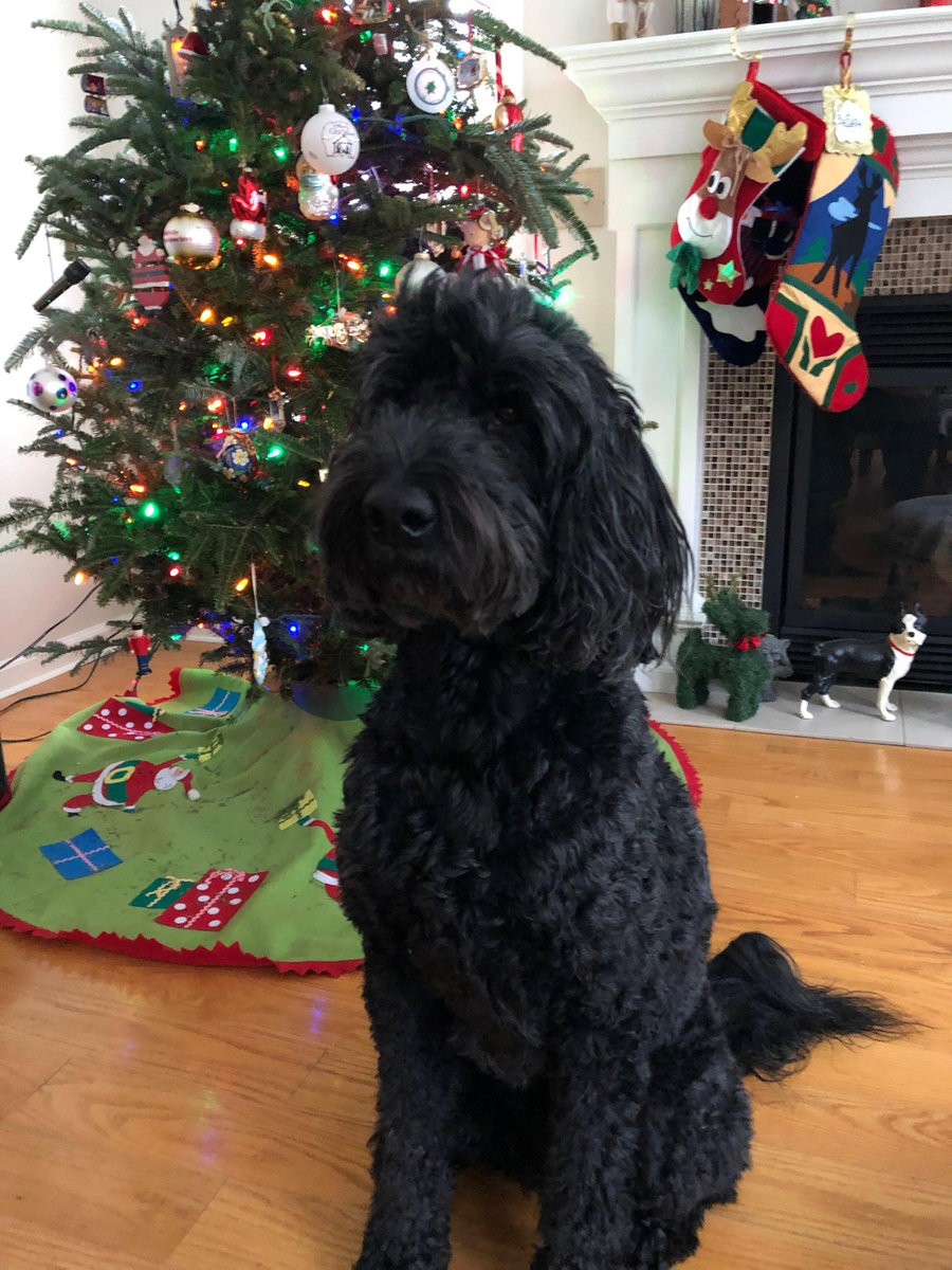 Greta from the Dahn family